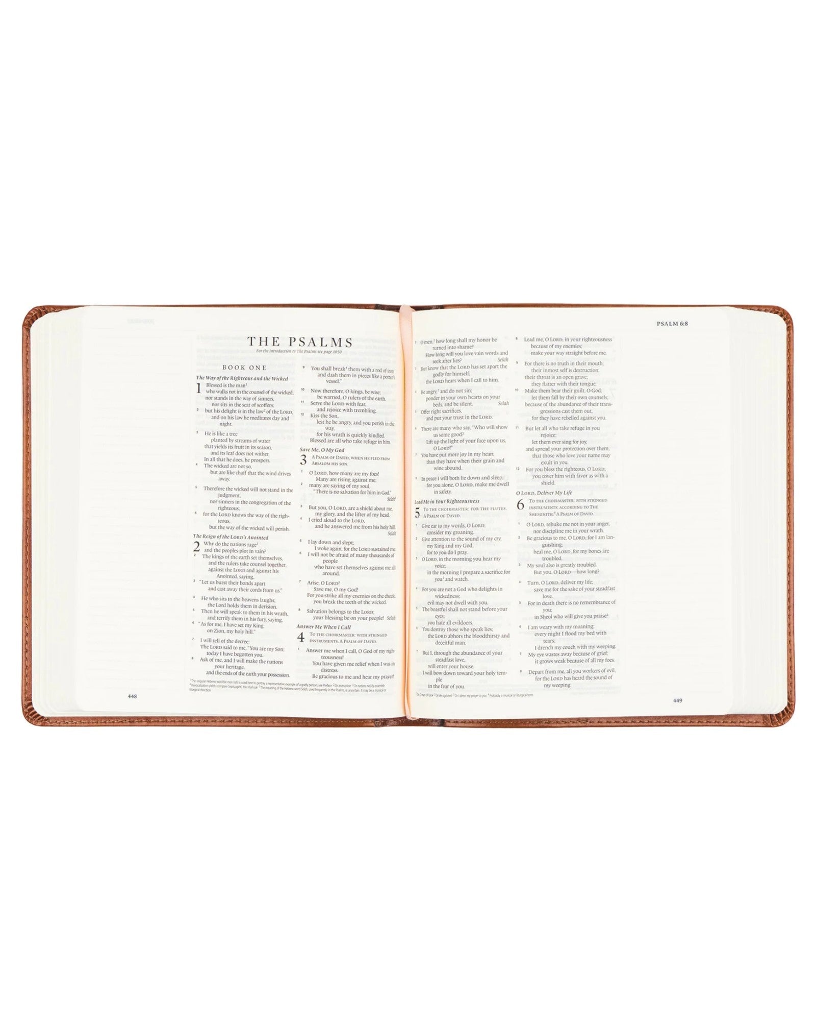 ESV Journaling Bible: Gethsemane 2024 Theme