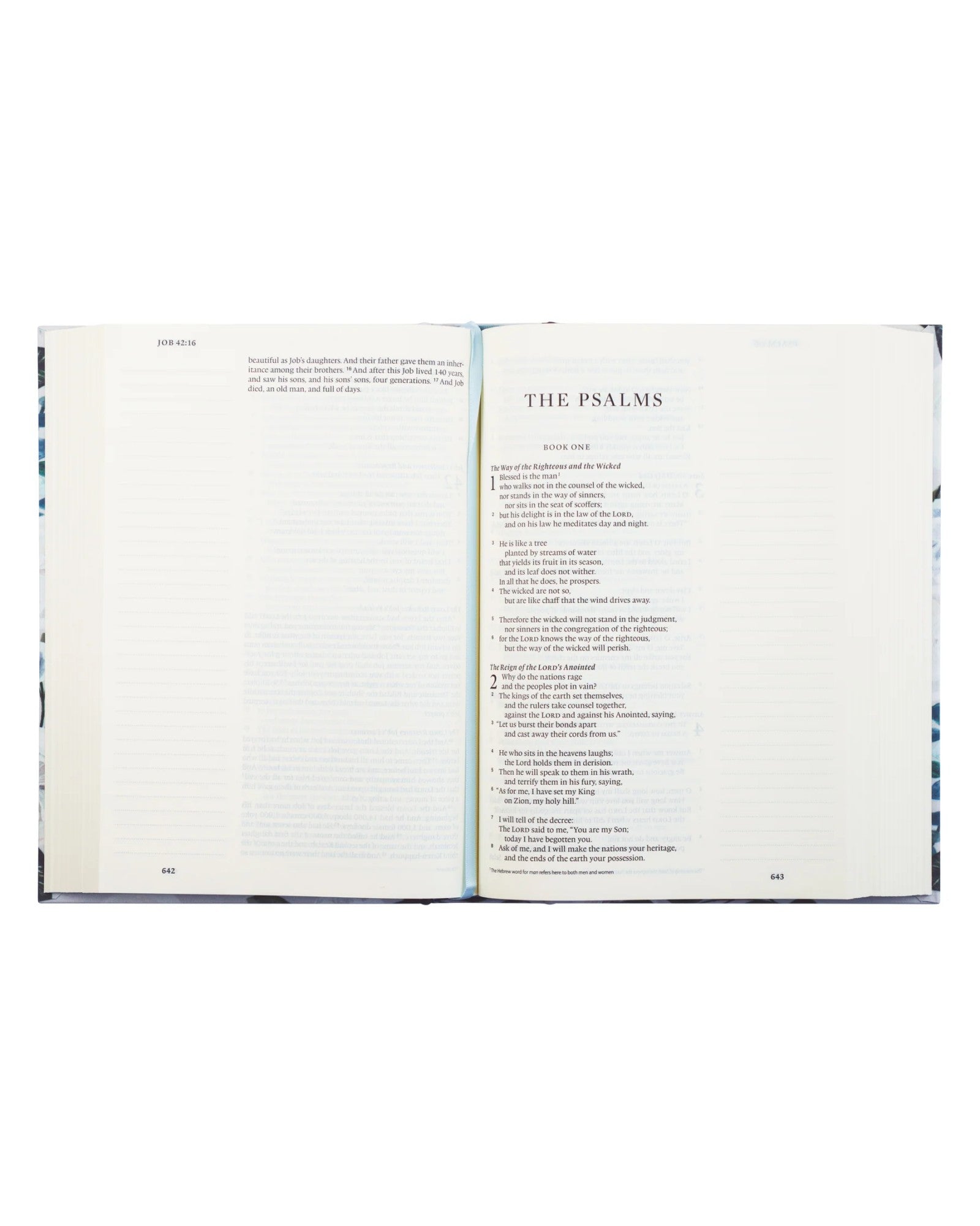 Hosanna Revival | ESV Large Print Journaling Bible: Victoria Theme